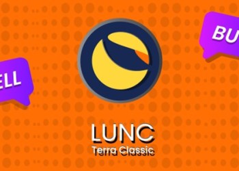 Terra Classic and DigiToads are thriving. What’s Driving Prices?