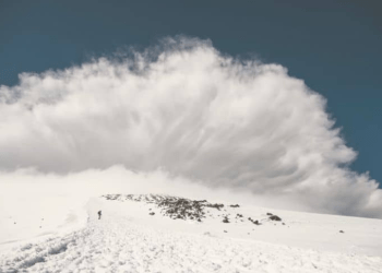 AVAX Breaches $13 Barrier With 16% Rally – What’s The Next Price Level To Watch?
