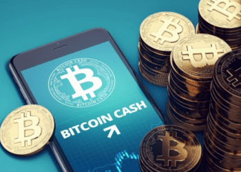 Bitcoin Cash