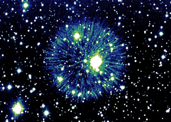 Stellar