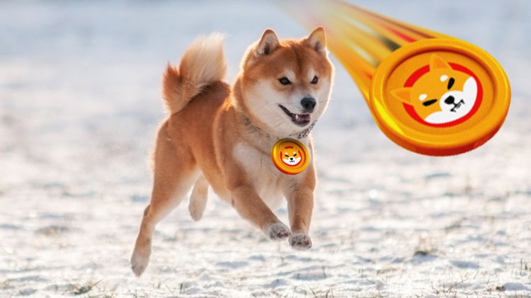 Shiba Inu news