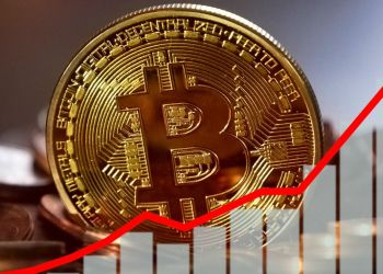 Altcoin Season Bitcoin Halving