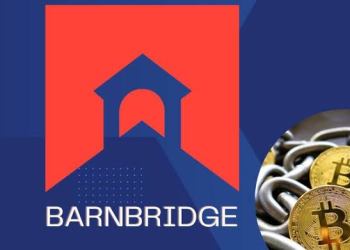 BarnBridge DAO Freezes Operations Amid SEC Probe, Can They Weather The Storm?