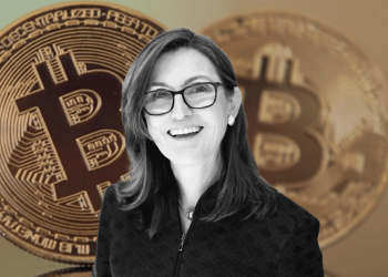 Cathie Wood Bitcoin