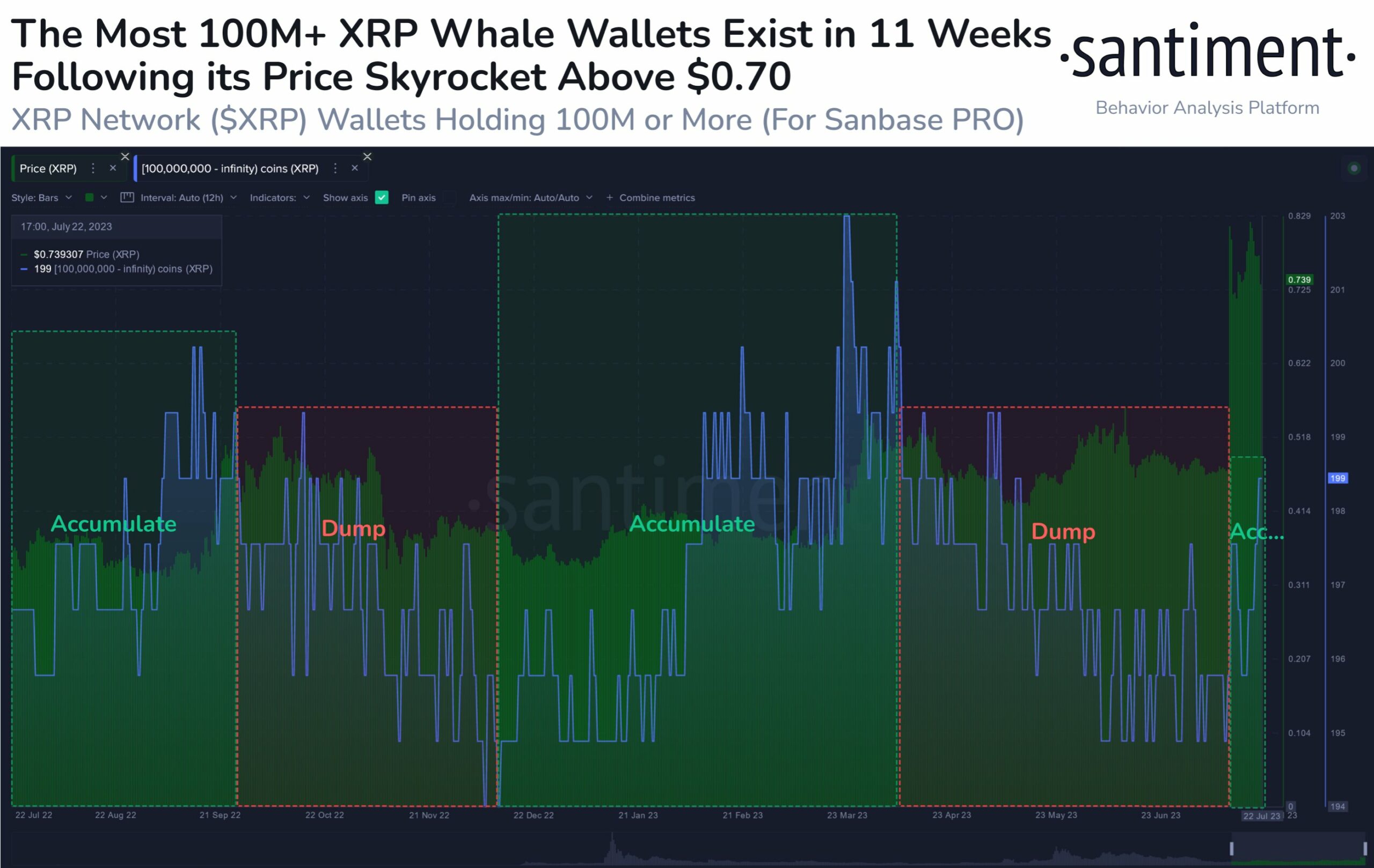 XRP whales