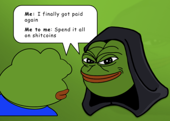 Lessons from the Past: How Meme Coins Can Make or Break You