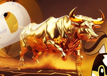 Dogecoin vs Pikamoon: Which is the Top Choice for the Next Bull Run?