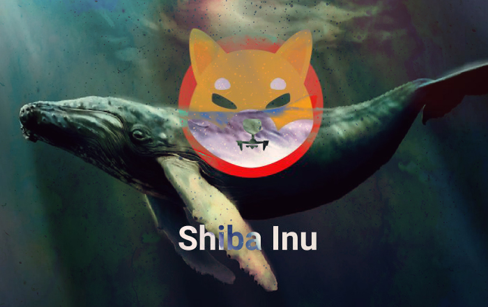 Shiba Inu whale