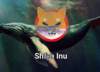 Shiba Inu whale