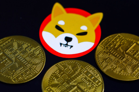 Significant Surge: Large Shiba Inu Token Transactions Capture Spotlight