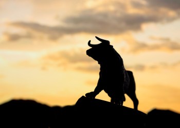Bitcoin bull