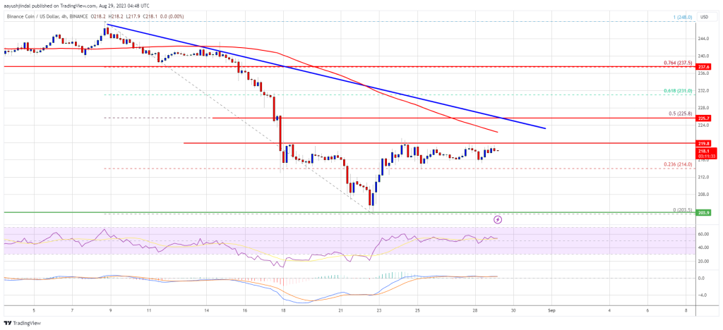 BNB price prediction
