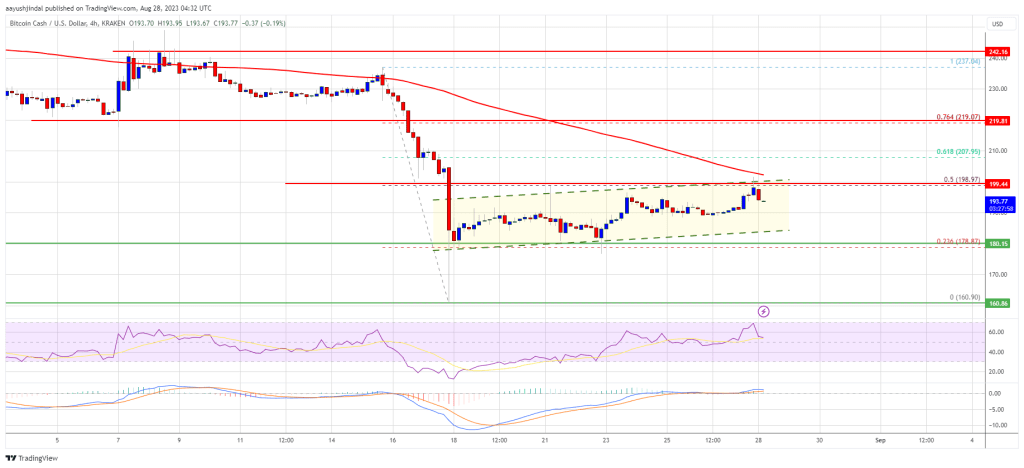 Bitcoin cash price