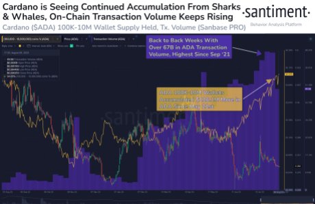 Cardano (ADA)