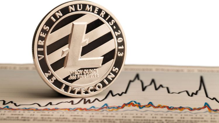 Litecoin Halving Hash Rate LTC
