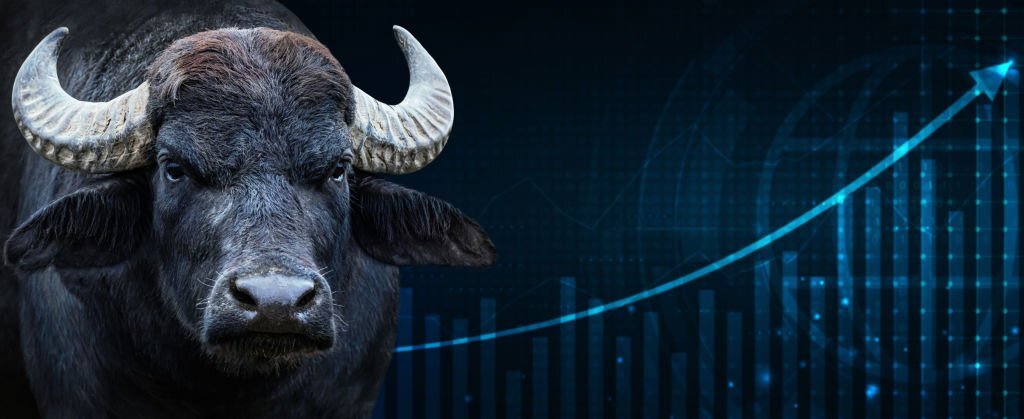 Cardano Q2 Surge: Stablecoin Soars, TVL Skyrockets, And Dapp Transactions Hit Record Highs