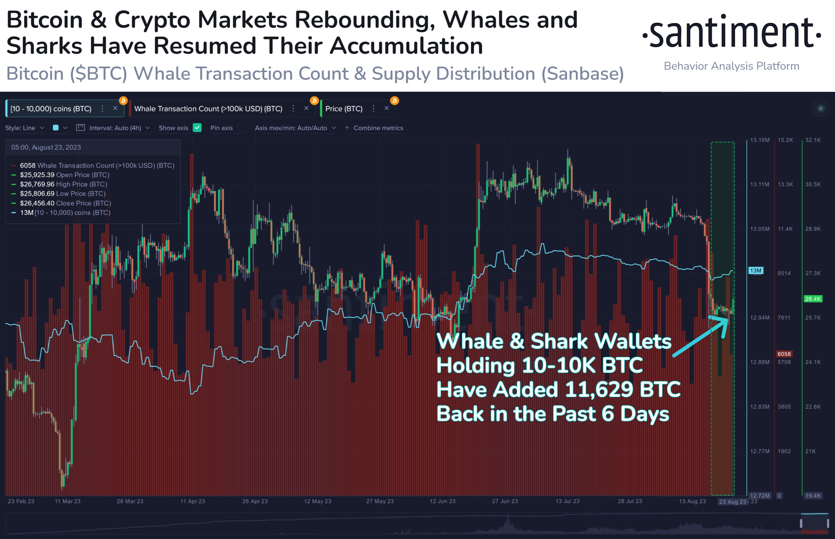 Bitcoin whales are buying the dip