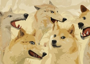 Dogecoin Hits New High in August, Anarchy (ANA) to Follow Suit