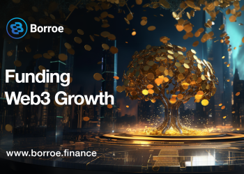 13% of All Litecoin (LTC) Unmoved in Years, Whales Accumulating Borroe ($ROE) in Fast-Selling Borroe Presale