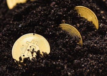 Bitcoin Spark Is Changing The Crypto Landscape, Where Does This Leave Cardano?