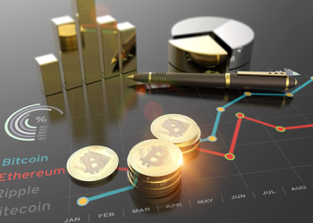 Shiba Inu to Bitcoin Spark: The Evolution of Cryptocurrency Investments