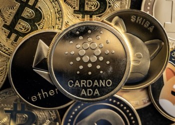 High Potential, Low Cost: Cardano (ADA), DigiToads (TOADS) and Monero (XMR) are August 2023’s Must-Have Cryptos