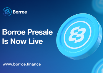 What Makes Polygon The Best Platform For Borroe and The Web3 Revolution?