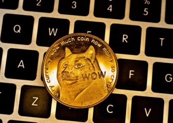 Dogecoin Creator Markus Spills His Main Crypto Principle and Token Picks; Memecoin Lovers Expect Big Gains For DigiToads’ Web3 Game Launch
