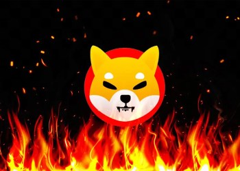 SHIB burn
