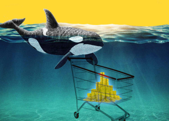 Shiba Inu Whale Transfers 4.6 Trillion Tokens After A 24-Hour Safekeeping