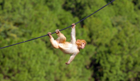 Apecoin Weakens Grip In Last 30 Days – Should Investors Get Worried?