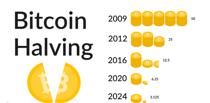 Bitcoin: Unleashing the Potential of the 2024 Halving on Prices Bitcoin: Unleashing the Potential of the 2024 Halving on Prices