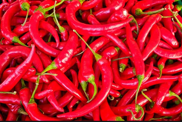 Chiliz Empowers Smart Contracts With Upgrades Chiliz Empowers Smart Contracts With Upgrades