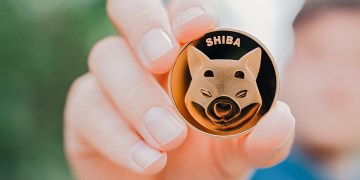 Man holding Shiba token on natural background