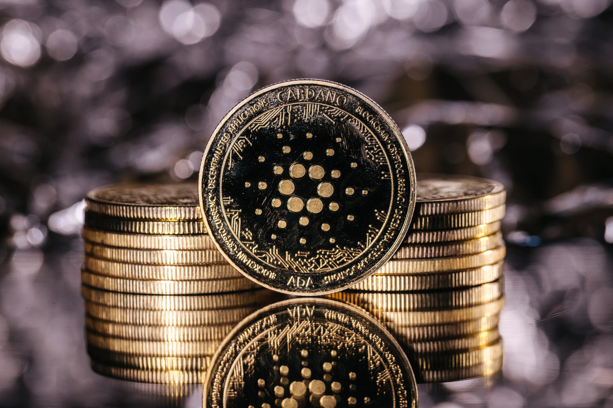 Cardano HODLing: Long-Term Holders See 170% Rise In Past Year