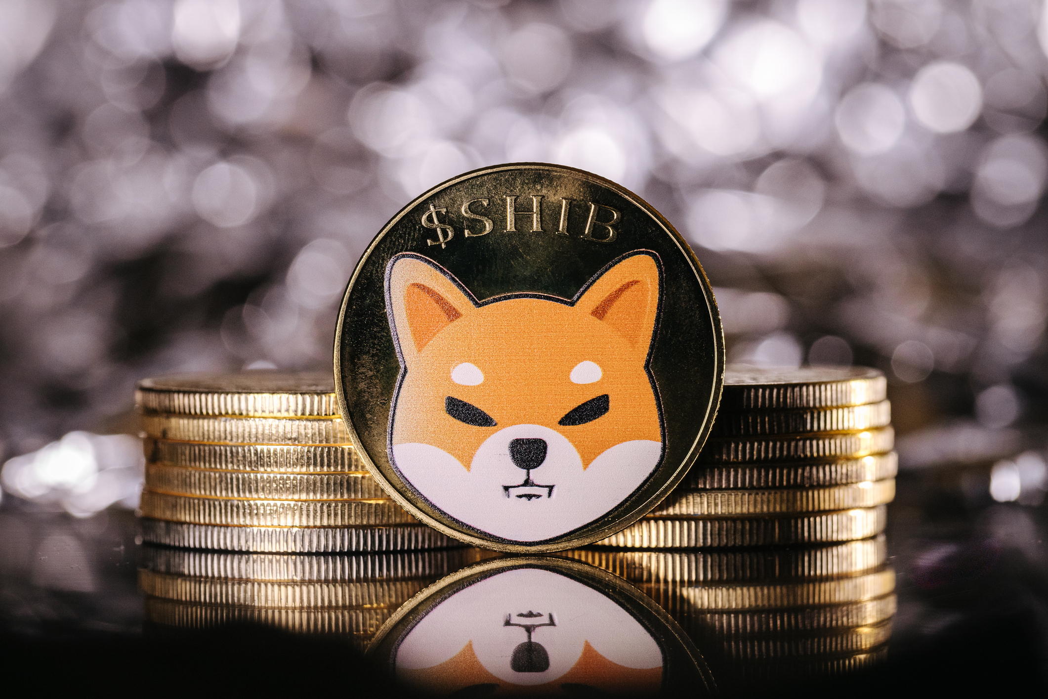 Shiba Inu cryptocurrency, physical coin in front of an abstract background