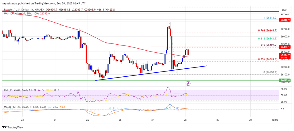 Bitcoin Bulls Keep Pushing But Faces Rejection, 100 SMA Is The Key