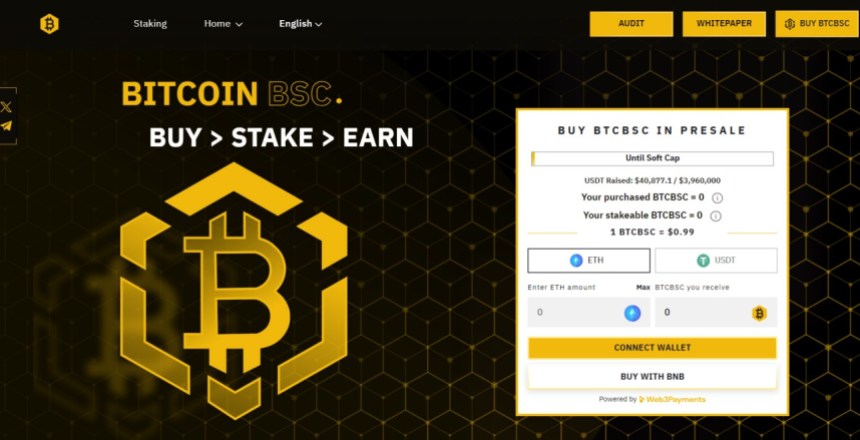 Bitcoin BSC 1