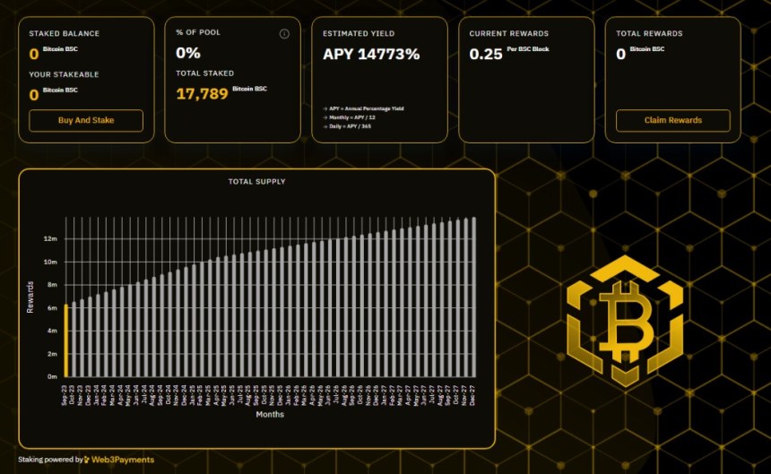 Bitcoin BSC 2