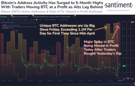 Bitcoin addresses