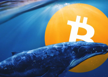 Crypto whale center