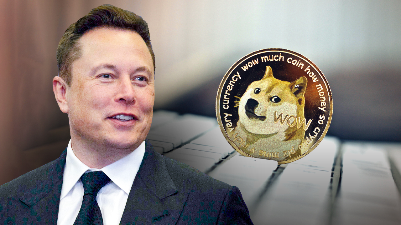Elon Musk disputes Dogecoin creator claim he can't run Python code