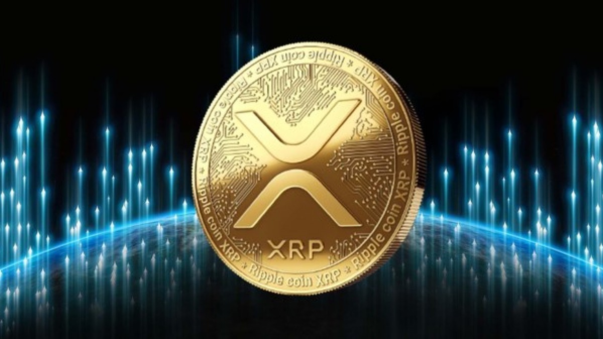 XRP whale