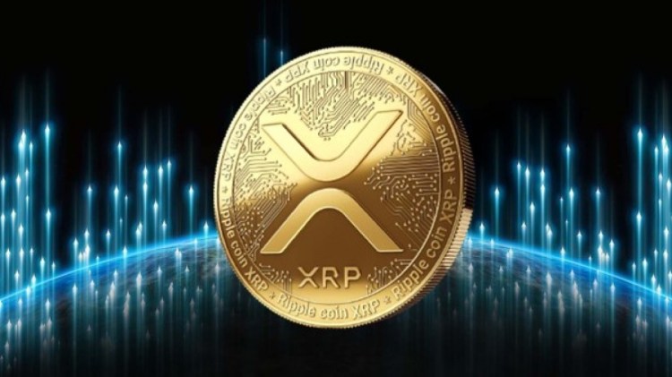 XRP whale