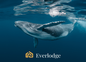 Cosmos and Axie Infinity Whales Move to Everlodge for More Significant Gains