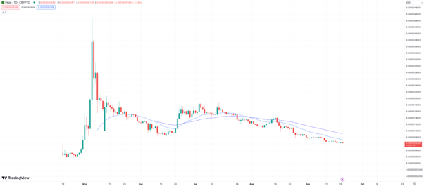 How to Turn $27 into $1M with Meme Coin: After Pepe's Spike, Can