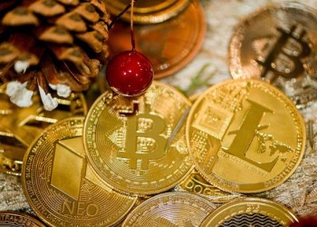 Solana Defies Price Fears, Bitcoin Spark Leads ICO Investment Race