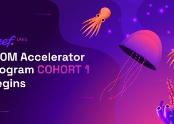 Reef Labs $10M Accelerator Program COHORT 1 Begins, Paving the Way for Web3 Innovators