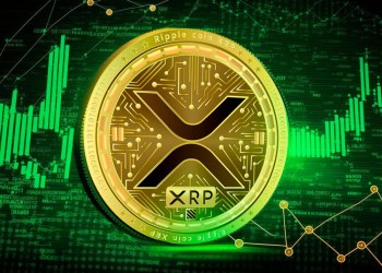 Ripple stock price XRP price