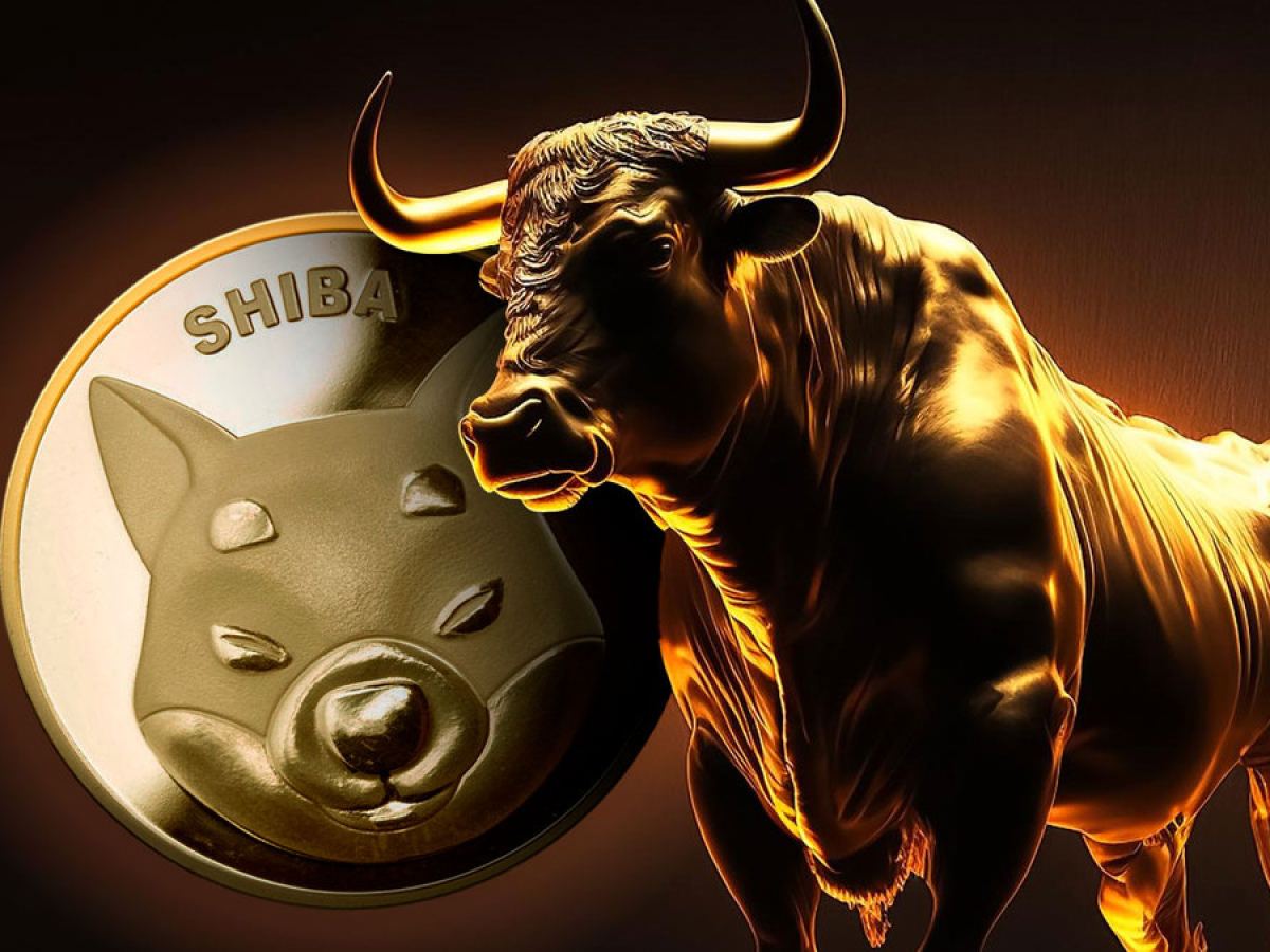 Shiba Inu Team Member Reveals What Investors Should Do If They Want SHIB Burns Shiba Inu Team Member Reveals What Investors Should Do If They Want SHIB Burns